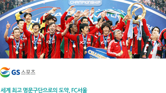 세계 최고 명문구단으로의 도약, FC서울