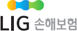 LIG 손해보험